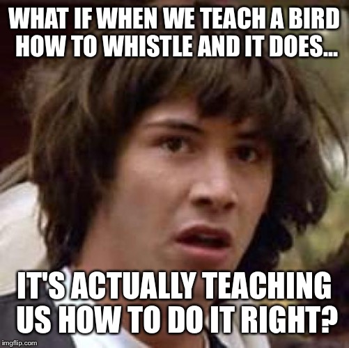 Conspiracy Keanu Meme | WHAT IF WHEN WE TEACH A BIRD HOW TO WHISTLE AND IT DOES…; IT'S ACTUALLY TEACHING US HOW TO DO IT RIGHT? | image tagged in memes,conspiracy keanu | made w/ Imgflip meme maker