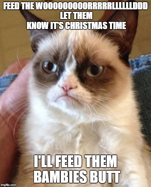 Grumpy Cat Meme | FEED THE WOOOOOOOOORRRRRLLLLLLDDD LET THEM KNOW IT'S CHRISTMAS TIME; I'LL FEED THEM BAMBIES BUTT | image tagged in memes,grumpy cat | made w/ Imgflip meme maker