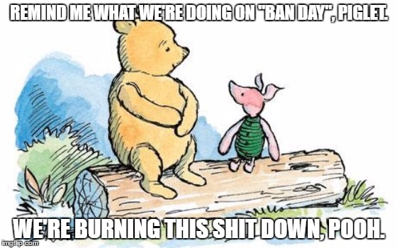winnie the pooh and piglet | REMIND ME WHAT WE'RE DOING ON "BAN DAY", PIGLET. WE'RE BURNING THIS SHIT DOWN, POOH. | image tagged in winnie the pooh and piglet | made w/ Imgflip meme maker