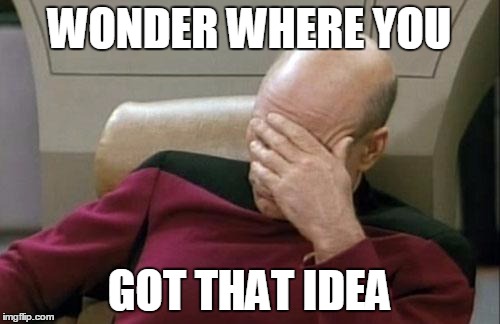 Captain Picard Facepalm Meme | WONDER WHERE YOU GOT THAT IDEA | image tagged in memes,captain picard facepalm | made w/ Imgflip meme maker