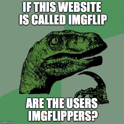 Philosoraptor Meme | IF THIS WEBSITE IS CALLED IMGFLIP; ARE THE USERS IMGFLIPPERS? | image tagged in memes,philosoraptor | made w/ Imgflip meme maker