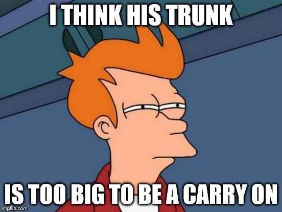 Futurama Fry Meme | I THINK HIS TRUNK IS TOO BIG TO BE A CARRY ON | image tagged in memes,futurama fry | made w/ Imgflip meme maker