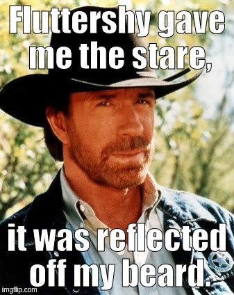 just wanted to make an MLP and Chuck Norris meme. i know it isn't a     very good one but i tried my best. | Fluttershy gave me the stare, it was reflected off my beard. | image tagged in memes,chuck norris | made w/ Imgflip meme maker