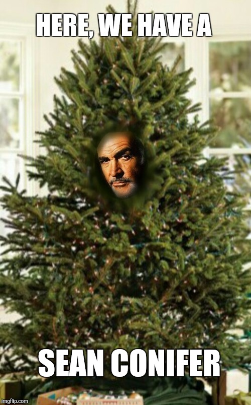 HERE, WE HAVE A; SEAN CONIFER | image tagged in sean conifer christmas tree,sean connery | made w/ Imgflip meme maker