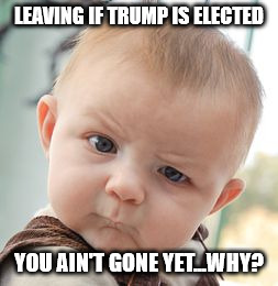 Skeptical Baby | LEAVING IF TRUMP IS ELECTED; YOU AIN'T GONE YET...WHY? | image tagged in memes,skeptical baby | made w/ Imgflip meme maker