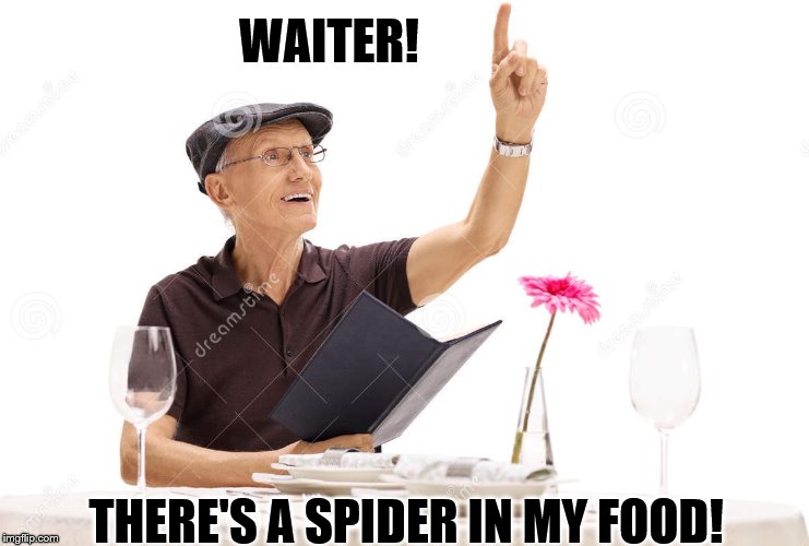 WAITER! THERE'S A SPIDER IN MY FOOD! | made w/ Imgflip meme maker