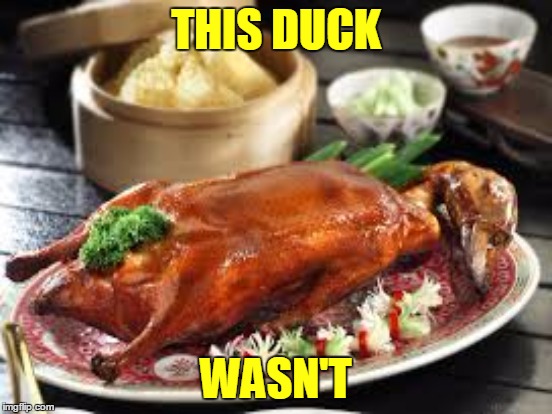 THIS DUCK WASN'T | made w/ Imgflip meme maker