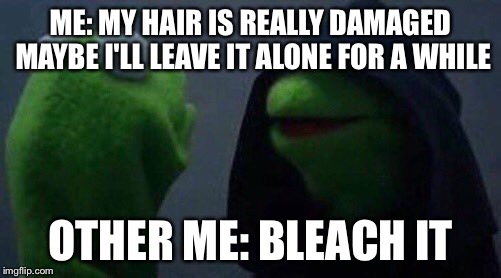 kermit me to me | ME: MY HAIR IS REALLY DAMAGED MAYBE I'LL LEAVE IT ALONE FOR A WHILE; OTHER ME: BLEACH IT | image tagged in kermit me to me | made w/ Imgflip meme maker