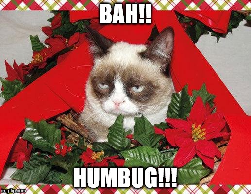 BAH!!  HUMBUG!!! | BAH!! HUMBUG!!! | image tagged in memes,grumpy cat mistletoe,grumpy cat | made w/ Imgflip meme maker