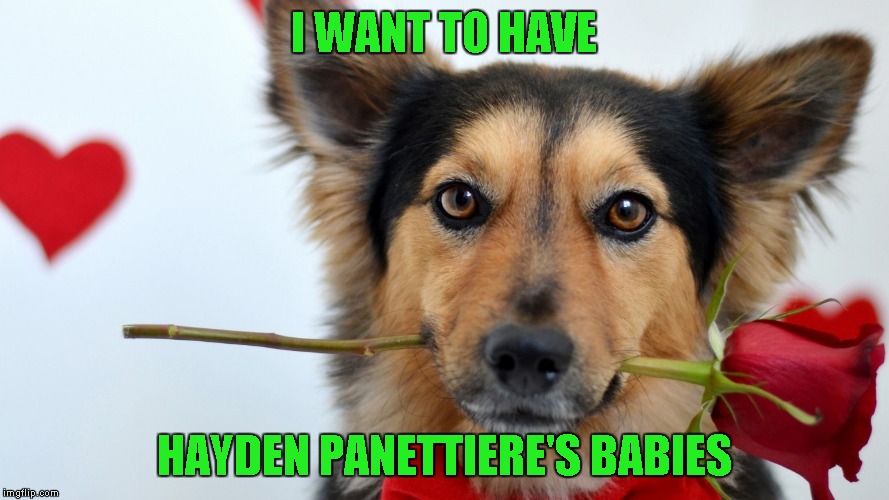 I WANT TO HAVE HAYDEN PANETTIERE'S BABIES | made w/ Imgflip meme maker