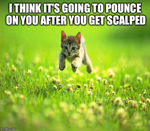 I THINK IT'S GOING TO POUNCE ON YOU AFTER YOU GET SCALPED | made w/ Imgflip meme maker