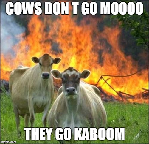 Evil Cows | COWS DON T GO MOOOO; THEY GO KABOOM | image tagged in memes,evil cows | made w/ Imgflip meme maker