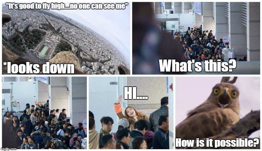 Twice Dahyun Eagle eye | "It's good to fly high....no one can see me"; What's this? *looks down; HI.... How is it possible? | image tagged in twice dahyun | made w/ Imgflip meme maker