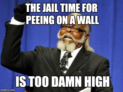 Too Damn High | THE JAIL TIME FOR PEEING ON A WALL; IS TOO DAMN HIGH | image tagged in memes,too damn high | made w/ Imgflip meme maker