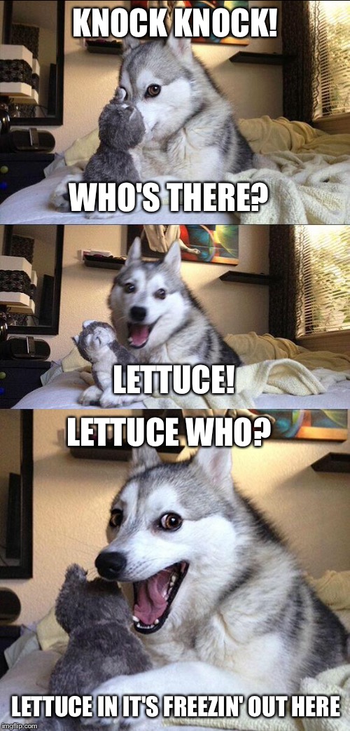 KNOCK KNOCK! WHO'S THERE? LETTUCE! LETTUCE WHO? LETTUCE IN IT'S FREEZIN' OUT HERE | made w/ Imgflip meme maker