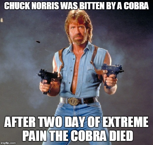 Chuck Norris Guns Meme | CHUCK NORRIS WAS BITTEN BY A COBRA; AFTER TWO DAY OF EXTREME PAIN THE COBRA DIED | image tagged in memes,chuck norris guns,chuck norris | made w/ Imgflip meme maker