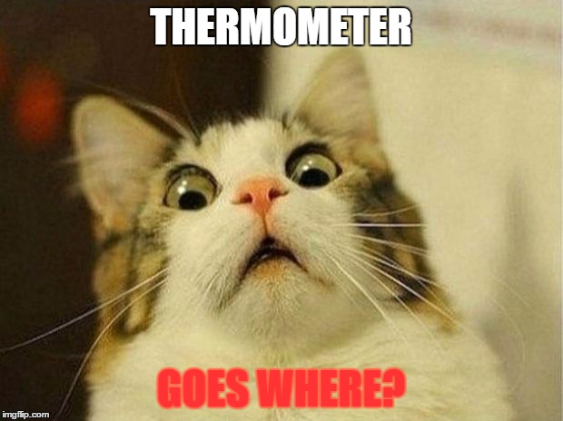 Scared Cat Meme | THERMOMETER; GOES WHERE? | image tagged in memes,scared cat | made w/ Imgflip meme maker