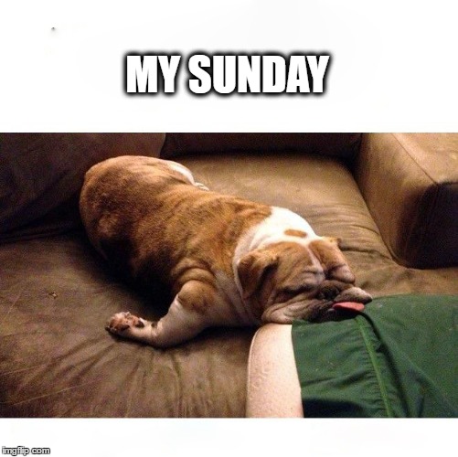 sundays  | MY SUNDAY | image tagged in the weekend,lazy,dog | made w/ Imgflip meme maker