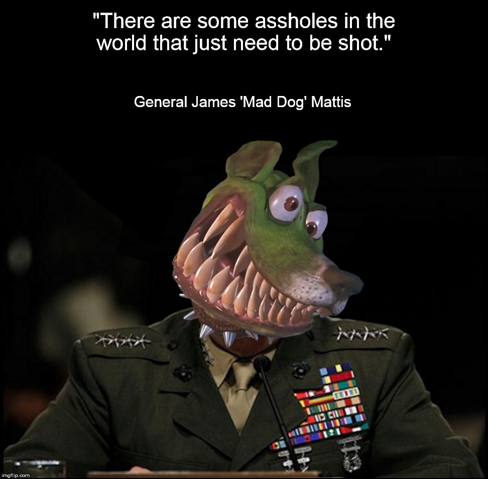 It's a dirty job, but somebody has to do it. | "There are some assholes in the world that just need to be shot."; General James 'Mad Dog' Mattis | image tagged in mattis,mad dog | made w/ Imgflip meme maker