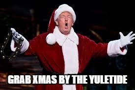 trump christmas | GRAB XMAS BY THE YULETIDE | image tagged in trump christmas | made w/ Imgflip meme maker