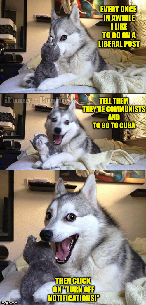 iFunny - PunHusky Watermarked | EVERY ONCE IN AWHILE I LIKE TO GO ON A LIBERAL POST; TELL THEM THEY'RE COMMUNISTS AND TO GO TO CUBA; THEN CLICK ON "TURN OFF NOTIFICATIONS!" | image tagged in ifunny - punhusky watermarked | made w/ Imgflip meme maker