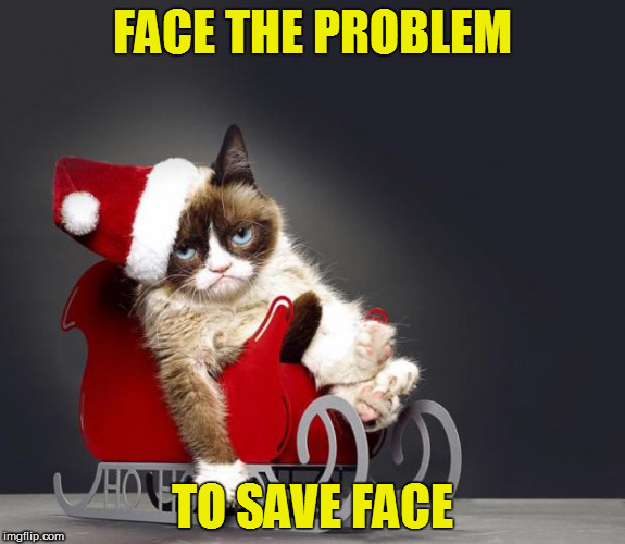 Grumpy Cat Christmas HD | FACE THE PROBLEM; TO SAVE FACE | image tagged in grumpy cat christmas hd | made w/ Imgflip meme maker