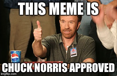 Chuck Norris Approves Meme | THIS MEME IS; CHUCK NORRIS APPROVED | image tagged in memes,chuck norris approves,chuck norris | made w/ Imgflip meme maker
