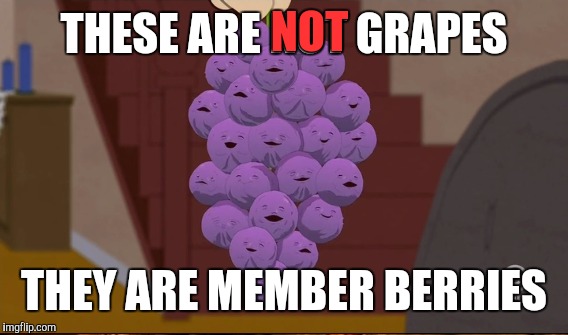 THESE ARE NOT GRAPES THEY ARE MEMBER BERRIES NOT | made w/ Imgflip meme maker