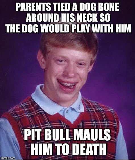 Bad Luck Brian Meme | PARENTS TIED A DOG BONE AROUND HIS NECK SO THE DOG WOULD PLAY WITH HIM PIT BULL MAULS HIM TO DEATH | image tagged in memes,bad luck brian | made w/ Imgflip meme maker