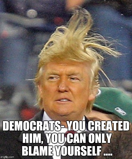 Donald Trumph hair | DEMOCRATS- YOU CREATED HIM, YOU CAN ONLY BLAME YOURSELF .... | image tagged in donald trumph hair | made w/ Imgflip meme maker