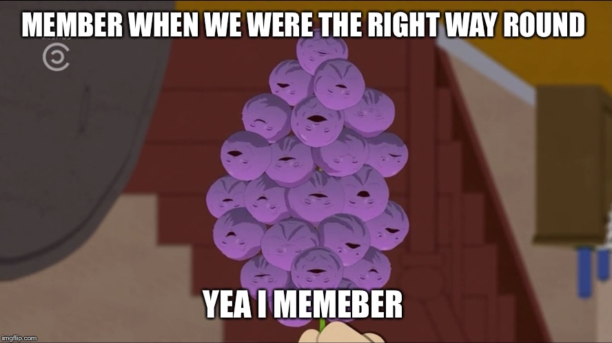 Member Berries Meme | MEMBER WHEN WE WERE THE RIGHT WAY ROUND; YEA I MEMEBER | image tagged in memes,member berries | made w/ Imgflip meme maker