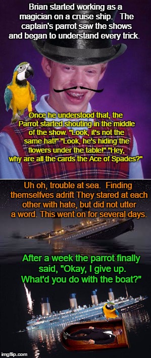 Brian Tries Magic | Brian started working as a magician on a cruise ship.   The captain's parrot saw the shows and began to understand every trick. Once he understood that, the Parrot started shouting in the middle of the show.
"Look, it's not the same hat!" "Look, he's hiding the flowers under the table!" "Hey, why are all the cards the Ace of Spades?"; Uh oh, trouble at sea.  Finding themselfves adrift They stared at each other with hate, but did not utter a word. This went on for several days. After a week the parrot finally said, "Okay, I give up. What'd you do with the boat?" | image tagged in memes,brian,funny,ocean,fun,parrot | made w/ Imgflip meme maker