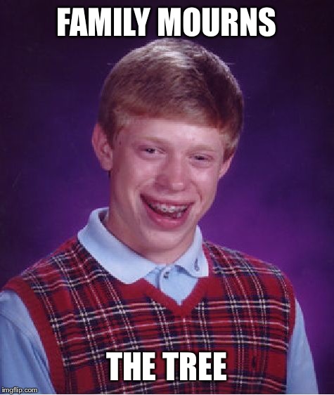 Bad Luck Brian Meme | FAMILY MOURNS THE TREE | image tagged in memes,bad luck brian | made w/ Imgflip meme maker