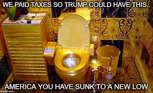 How gross are you? | WE PAID TAXES SO TRUMP COULD HAVE THIS.. AMERICA YOU HAVE SUNK TO A NEW LOW | image tagged in donald trump,college conservative,liberal vs conservative,conservative,liberals | made w/ Imgflip meme maker