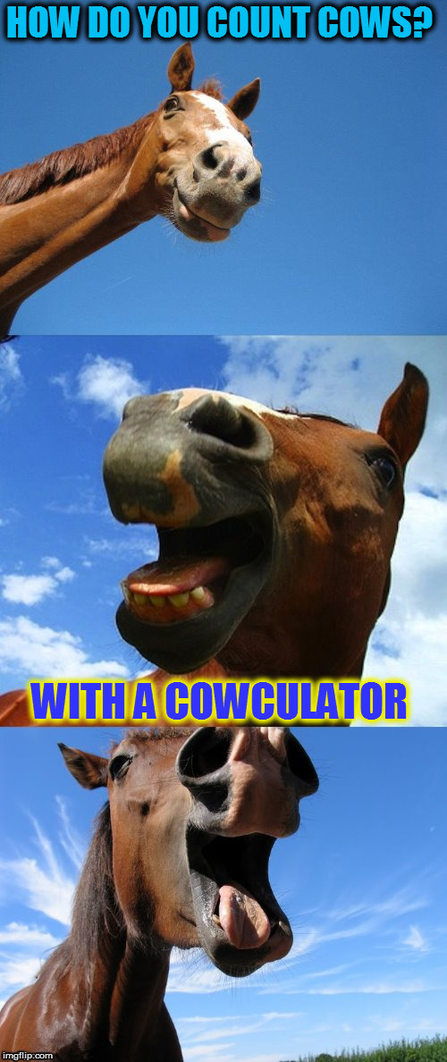 Just Horsing Around (A Mini Dash Meme) | HOW DO YOU COUNT COWS? WITH A COWCULATOR | image tagged in just horsing around,jokes,funny,memes,mini dash,cows | made w/ Imgflip meme maker