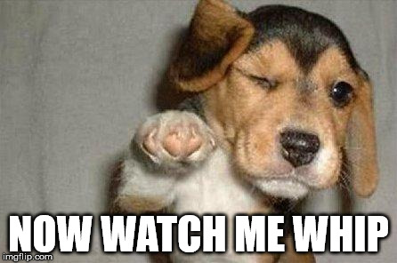 Awesome Dog | NOW WATCH ME WHIP | image tagged in awesome dog | made w/ Imgflip meme maker