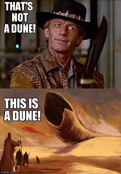THAT'S NOT A DUNE! THIS IS A DUNE! | made w/ Imgflip meme maker