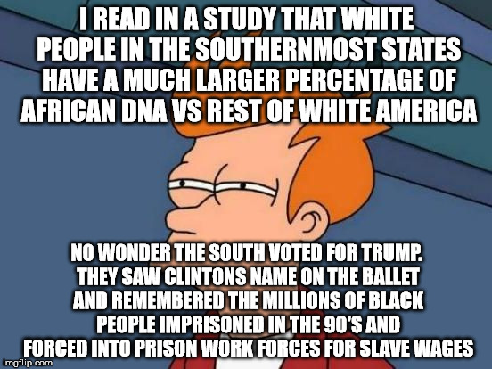 Sly Fry | I READ IN A STUDY THAT WHITE PEOPLE IN THE SOUTHERNMOST STATES HAVE A MUCH LARGER PERCENTAGE OF AFRICAN DNA VS REST OF WHITE AMERICA; NO WONDER THE SOUTH VOTED FOR TRUMP. THEY SAW CLINTONS NAME ON THE BALLET AND REMEMBERED THE MILLIONS OF BLACK PEOPLE IMPRISONED IN THE 90'S AND FORCED INTO PRISON WORK FORCES FOR SLAVE WAGES | image tagged in futurama fry reverse | made w/ Imgflip meme maker