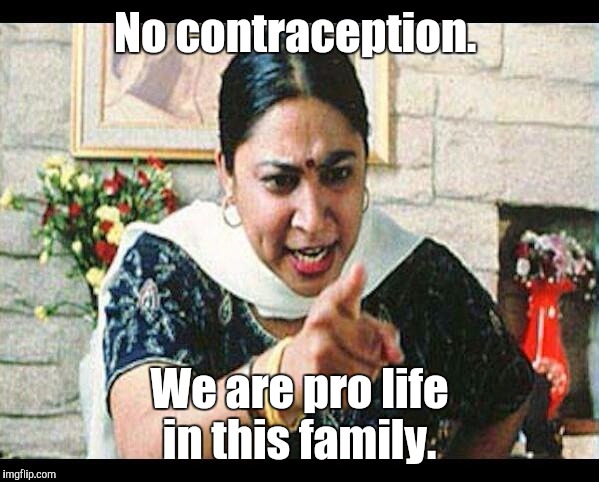 1es5td.jpg | No contraception. We are pro life in this family. | image tagged in 1es5tdjpg | made w/ Imgflip meme maker