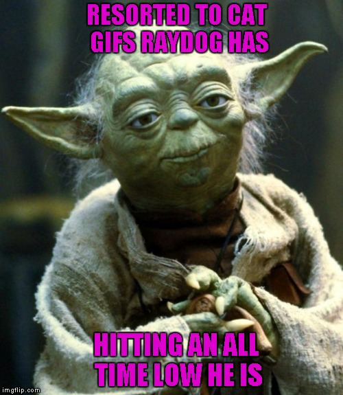 Please...say it isn't so!!! | RESORTED TO CAT GIFS RAYDOG HAS; HITTING AN ALL TIME LOW HE IS | image tagged in memes,star wars yoda | made w/ Imgflip meme maker
