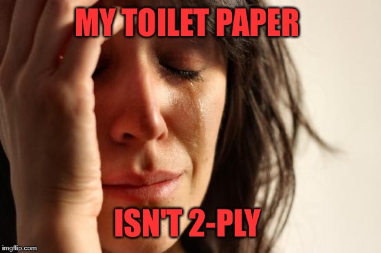 First World Problems Meme | MY TOILET PAPER; ISN'T 2-PLY | image tagged in memes,first world problems | made w/ Imgflip meme maker