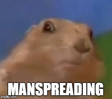 Manspreading | MANSPREADING | image tagged in funny memes,get rekt,stupid feminism | made w/ Imgflip meme maker