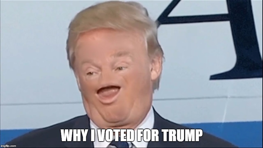 WHY I VOTED FOR TRUMP | image tagged in donald trump,trump,trump 2016 | made w/ Imgflip meme maker