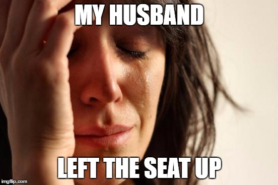 First World Problems | MY HUSBAND; LEFT THE SEAT UP | image tagged in memes,first world problems | made w/ Imgflip meme maker