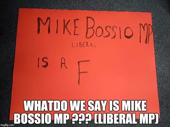 WHAT DO WE SAY MIKE BOSSIO MP IS??? (Liberal) | WHATDO WE SAY IS MIKE BOSSIO MP ??? (LIBERAL MP) | image tagged in liberals vs conservatives | made w/ Imgflip meme maker