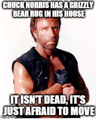 Chuck Norris Flex |  CHUCK NORRIS HAS A GRIZZLY BEAR RUG IN HIS HOUSE; IT ISN'T DEAD, IT'S JUST AFRAID TO MOVE | image tagged in memes,chuck norris flex,chuck norris | made w/ Imgflip meme maker