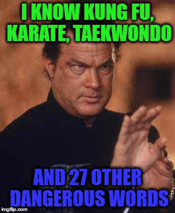 Steven Seagal | I KNOW KUNG FU, KARATE, TAEKWONDO; AND 27 OTHER DANGEROUS WORDS | image tagged in steven seagal | made w/ Imgflip meme maker