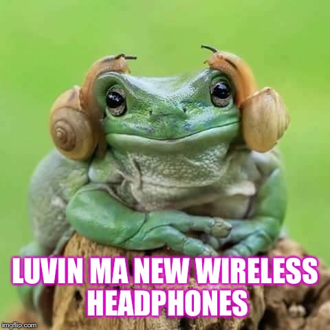 Frog wireless headphones | LUVIN MA NEW WIRELESS HEADPHONES | image tagged in frog wireless headphones | made w/ Imgflip meme maker
