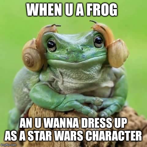 Frog wireless headphones | WHEN U A FROG; AN U WANNA DRESS UP AS A STAR WARS CHARACTER | image tagged in frog wireless headphones | made w/ Imgflip meme maker
