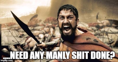 Manly Shit | ....NEED ANY MANLY SHIT DONE? | image tagged in memes,sparta leonidas,overly manly man,funny | made w/ Imgflip meme maker